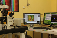 Microscopio láser espectral de barrido confocal
